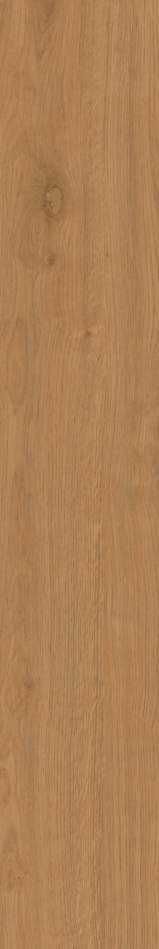 Yangmu · Digital Mould W1202342 · W1202342 Single tile image 24