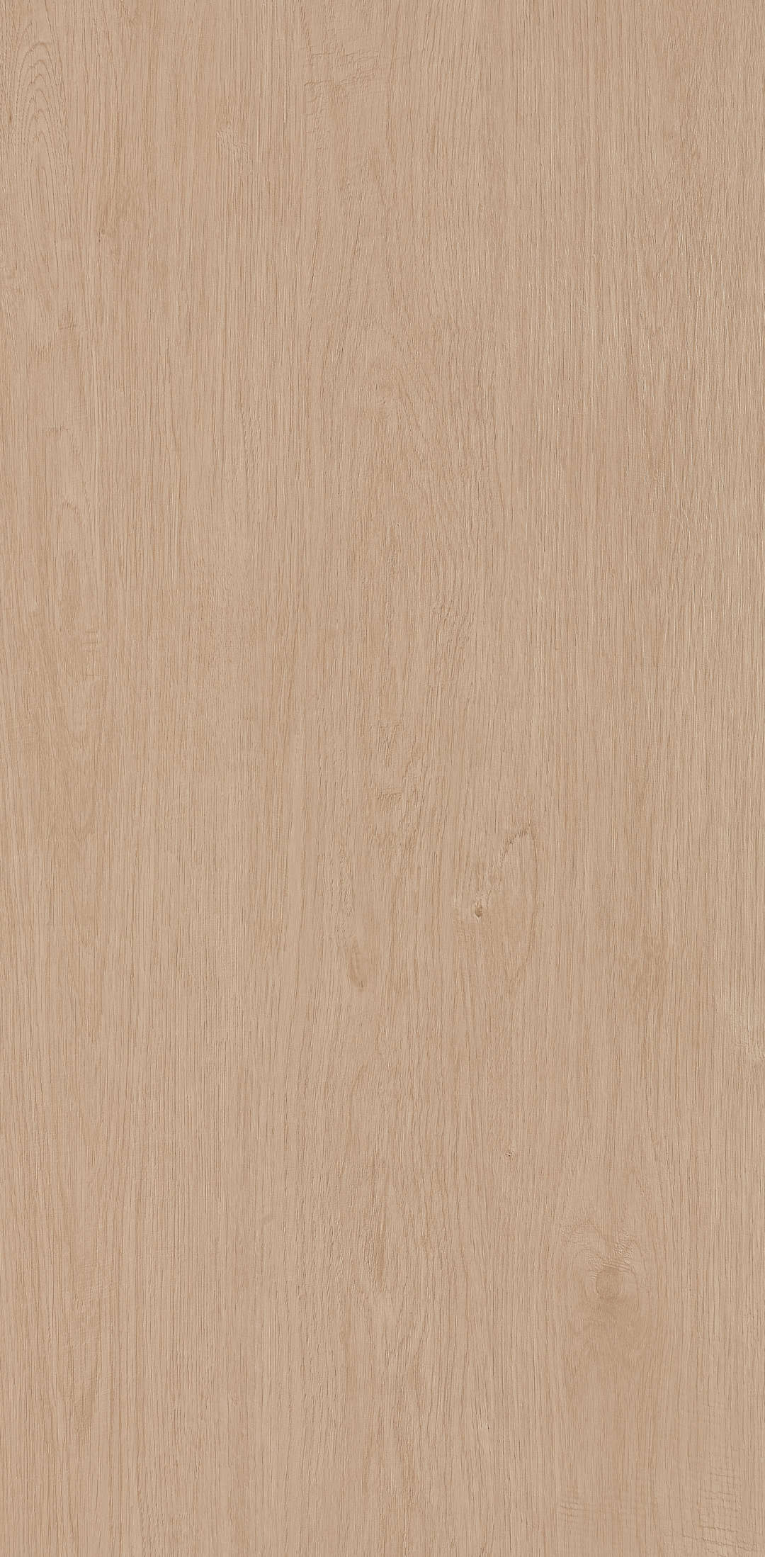 Fragrance · Matt Mould W1206330 · W1206330 single tile image 13