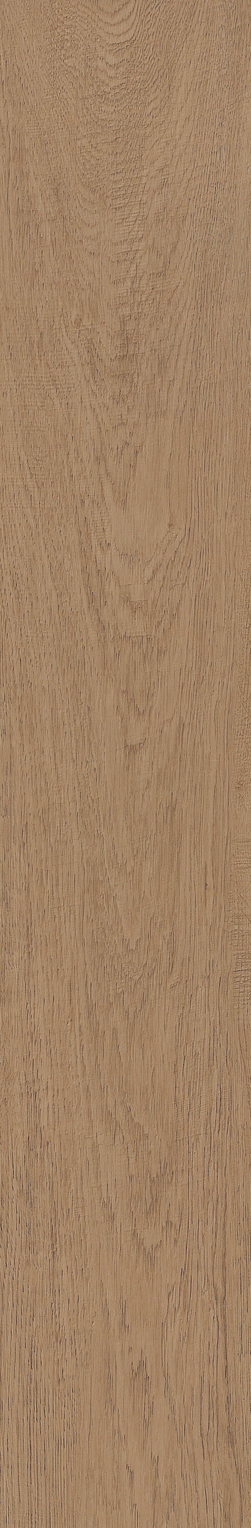 Fragrant · Matt Mould W1202331 · W1202331 Single Tile Image 31