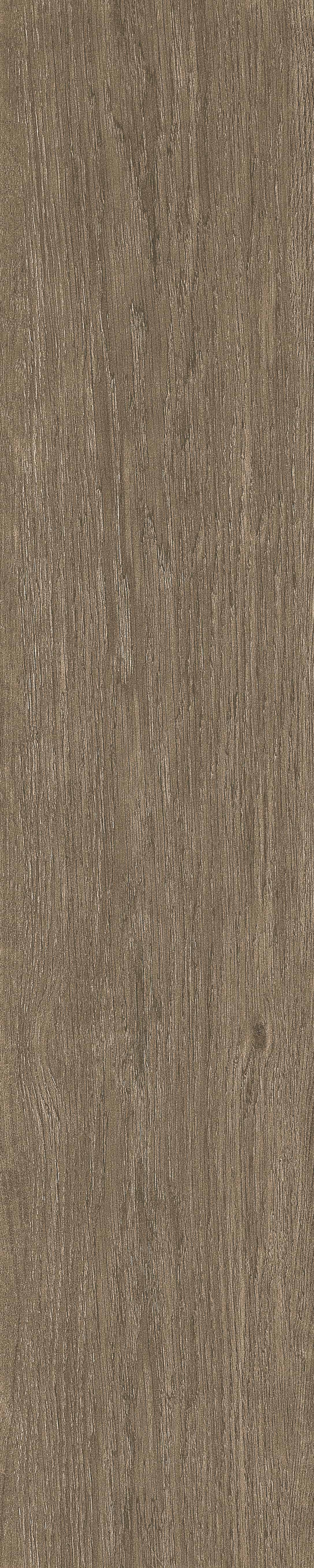 半岛 · 哑光模具 W1202070 · W1202070 单片图 23
