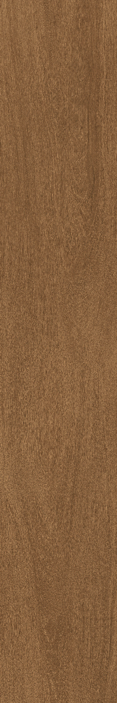 Cedar · Matt Mould W1202325 · W1202325 Single Tile Image 4