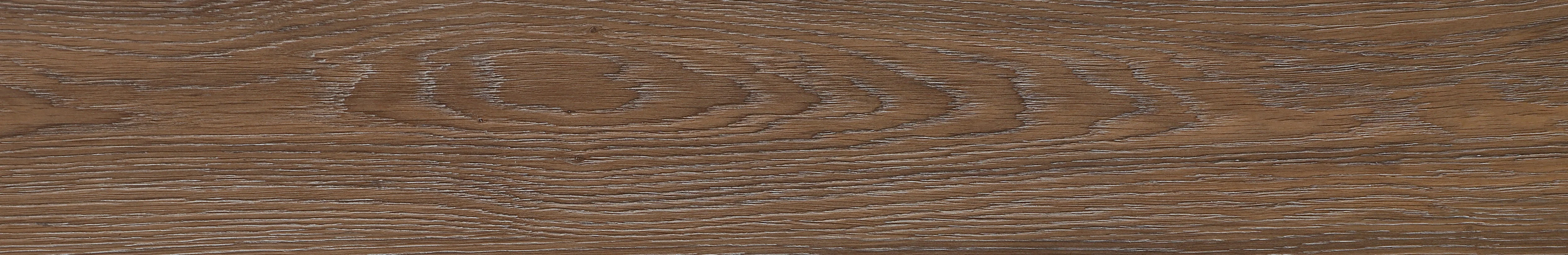North American Ash · Matt Mould W1202309 · W1202309 Single tile image 21