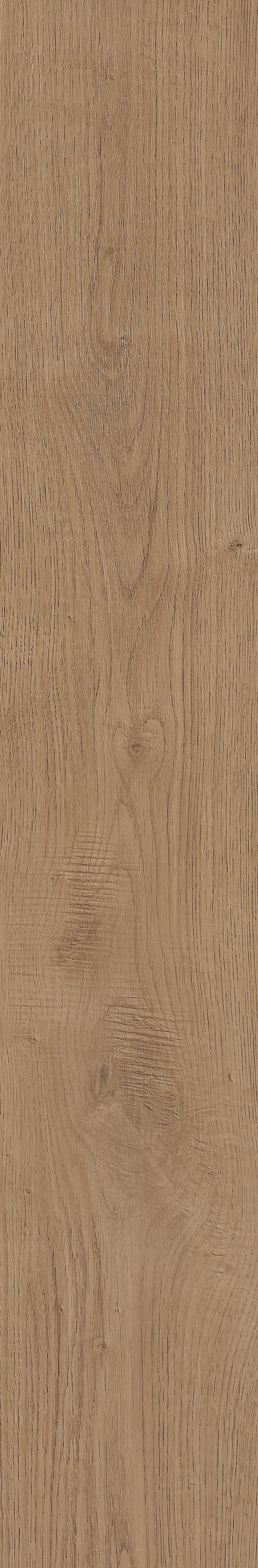 Fragrant · Matt Mould W1202331 · W1202331 Single Tile Image 44