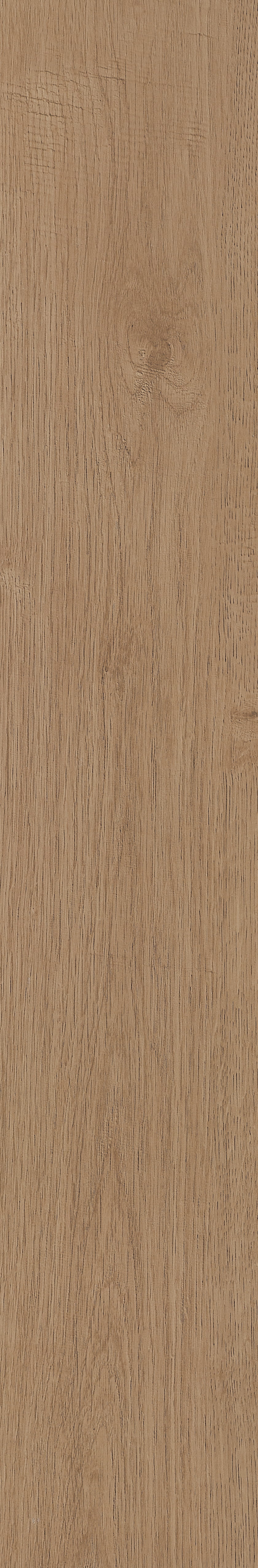 Fragrant · Matt Mould W1202331 · W1202331 Single Tile Image 27