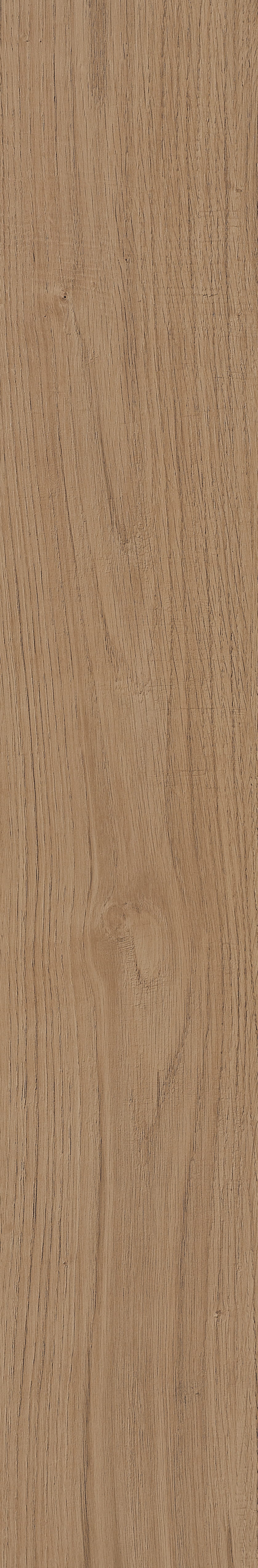 Fragrant · Matt Mould W1202331 · W1202331 Single Tile Image 13