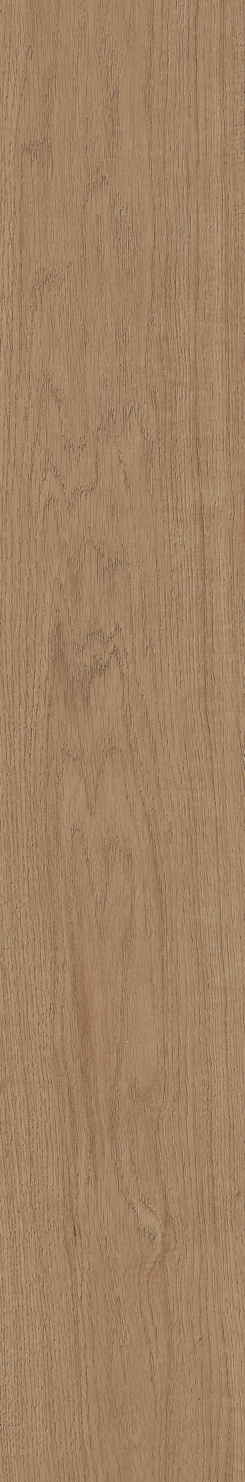Fragrant · Matt Mould W1202331 · W1202331 Single Tile Image 9