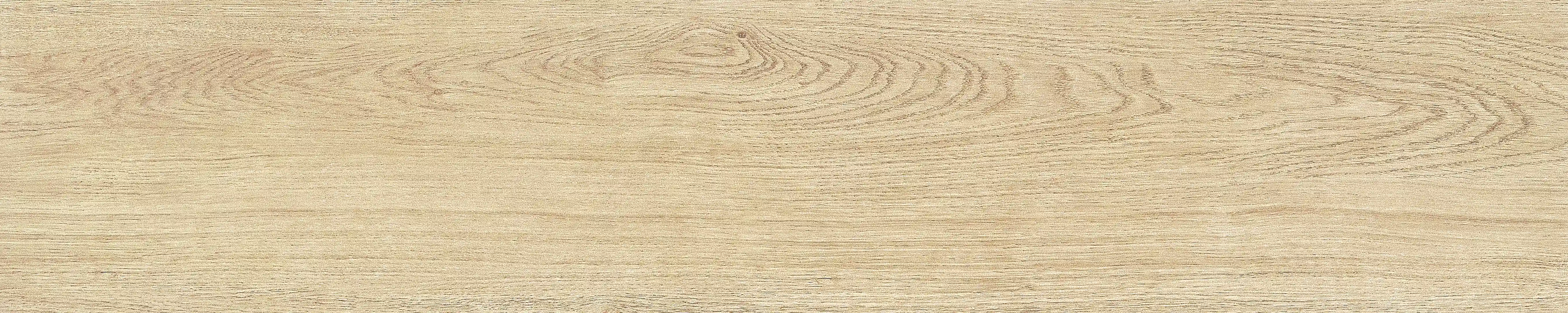 半岛 · 哑光模具 W1002033 · W1002033 单片图 3