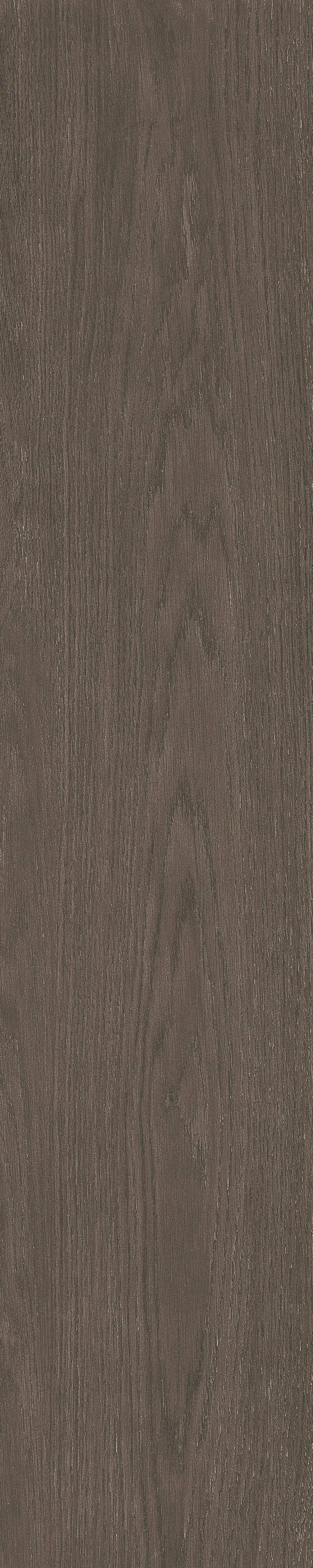 Peninsula · Matt Mould W1202071 · W1202071 single tile image 21