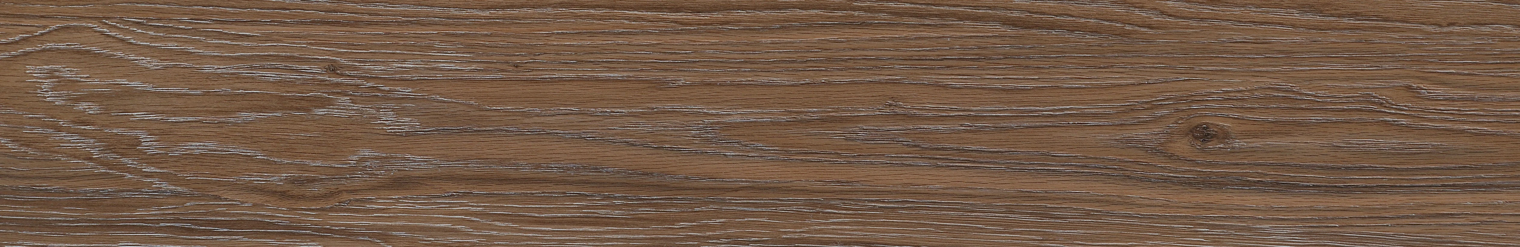 North American Ash · Matt Mould W1202309 · W1202309 Single tile image 8