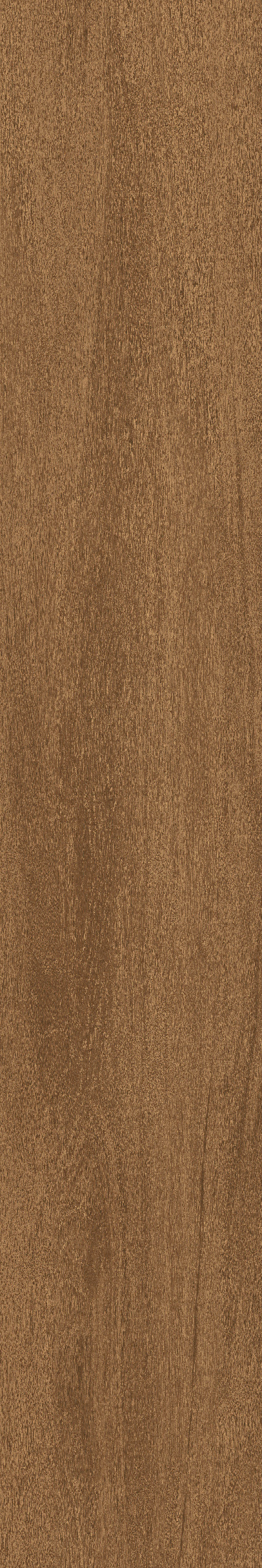 Cedar · Matt Mould W1202325 · W1202325 Single Tile Image 10