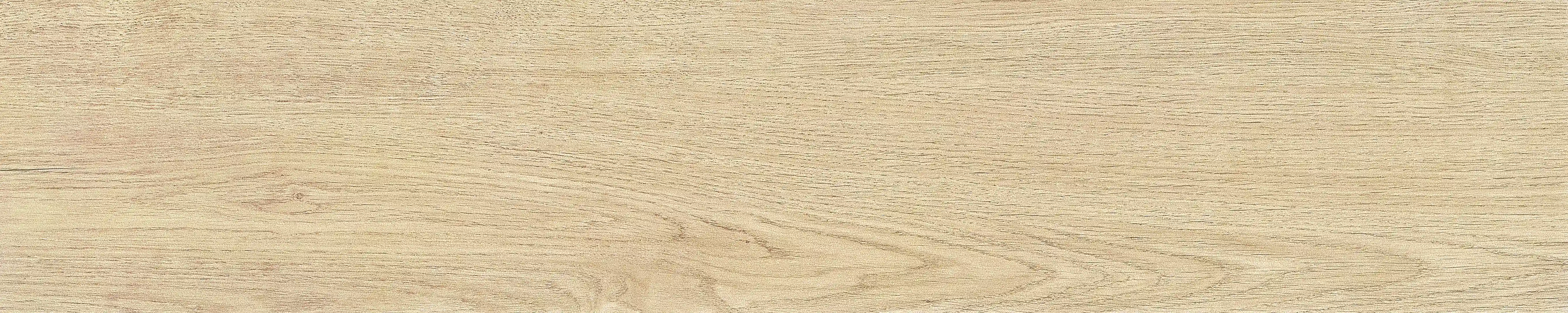 半岛 · 哑光模具 W1002033 · W1002033 单片图 16