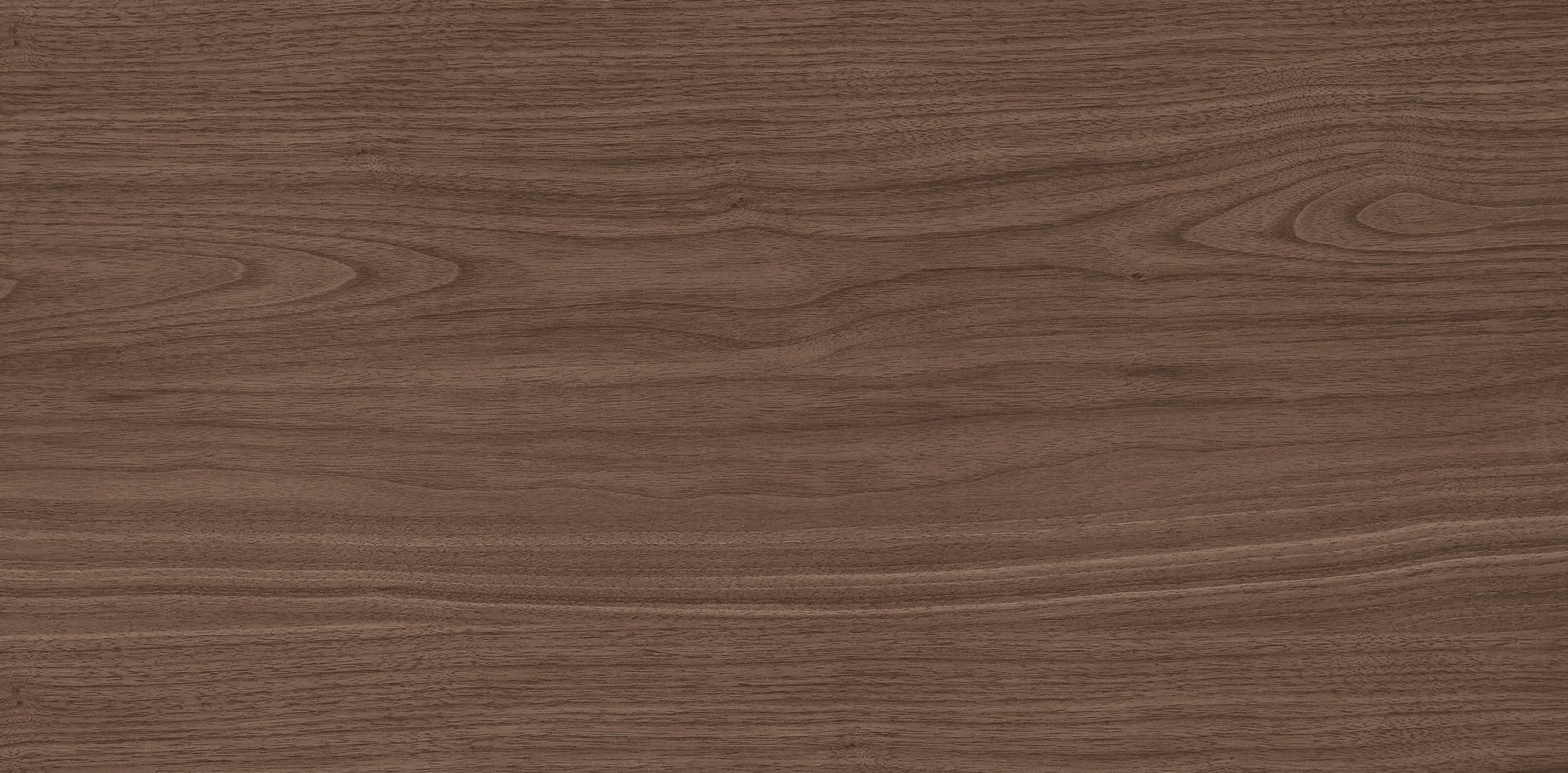 West Coast Walnut · Velvet R1206502 · R1206502 Single tile 2