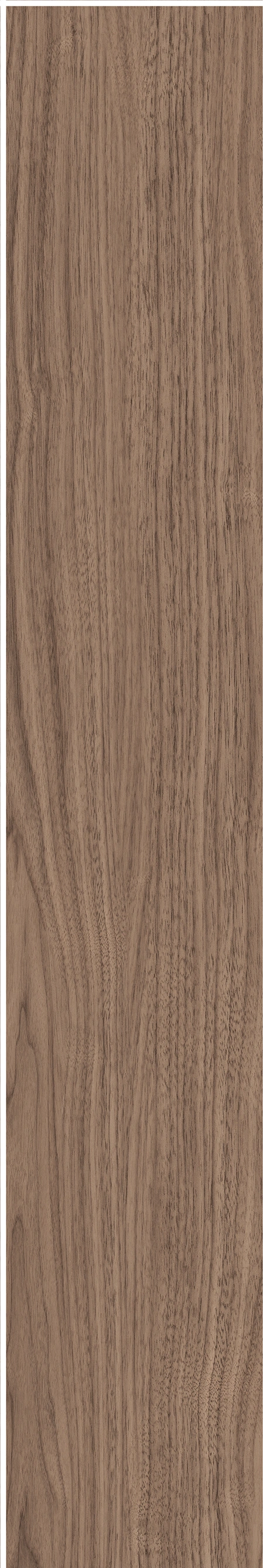 North American Walnut · Matt mould W1202075 · W1202075 single tile image 18