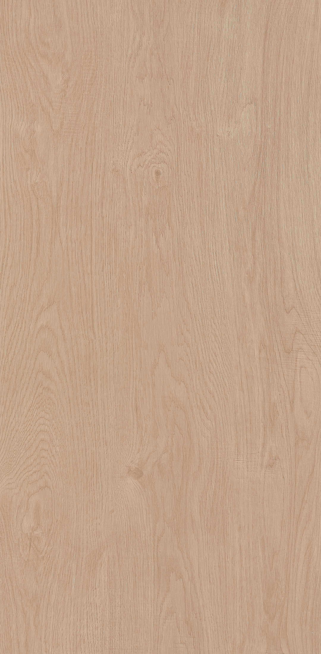 Fragrance · Matt Mould W1206330 · W1206330 single tile image 14