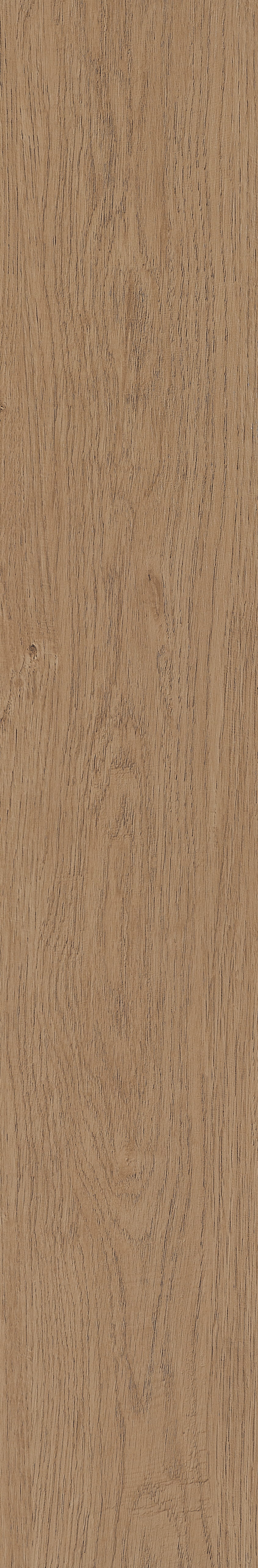 Fragrant · Matt Mould W1202331 · W1202331 Single Tile Image 37