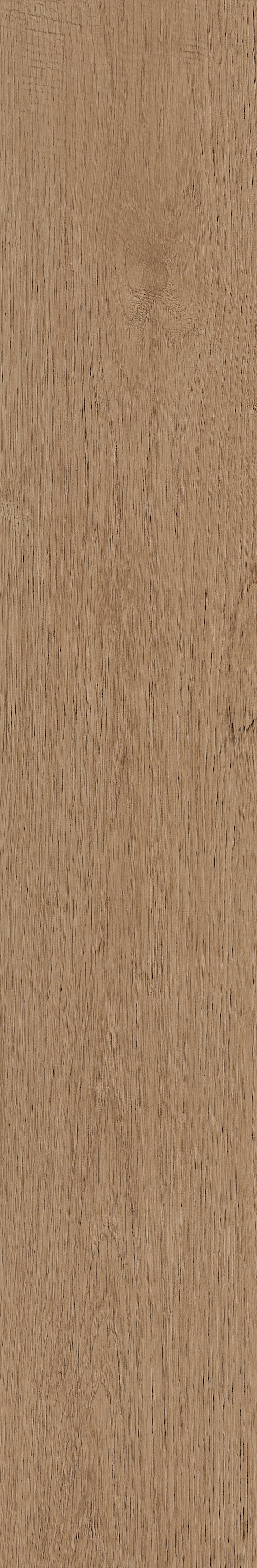 Fragrant · Matt Mould W1202331 · W1202331 Single Tile Image 33