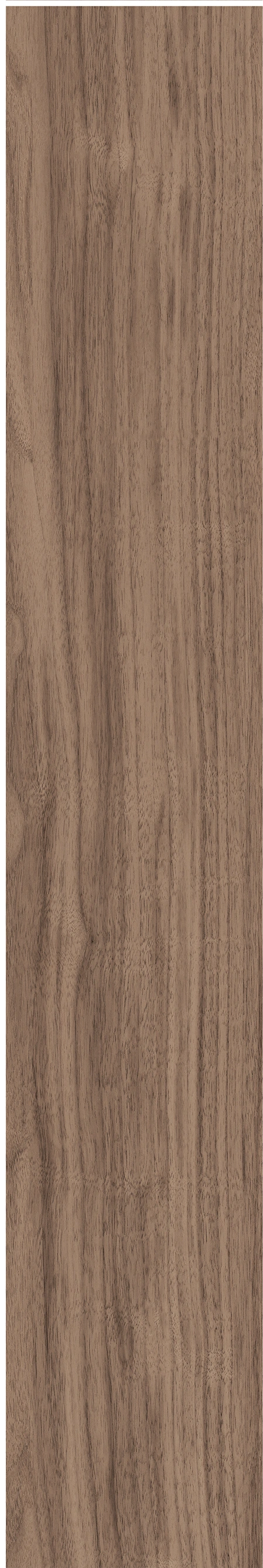 North American Walnut · Matt mould W1202075 · W1202075 Single tile image 27