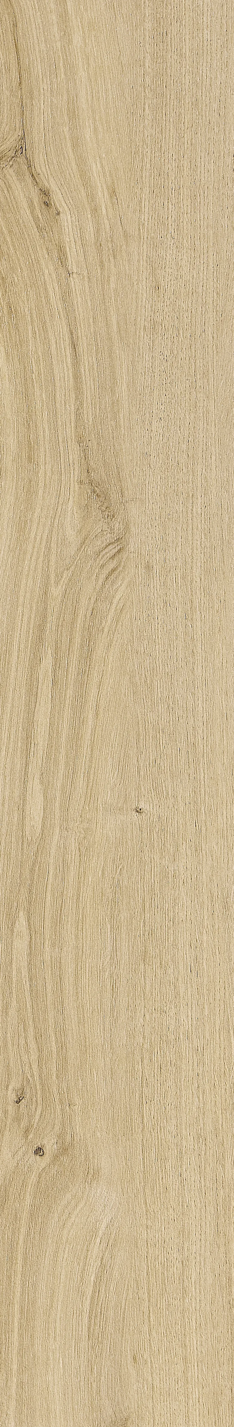 Qianmu · Digital Mould W1202368 · W1202368 Single Tile Image 21