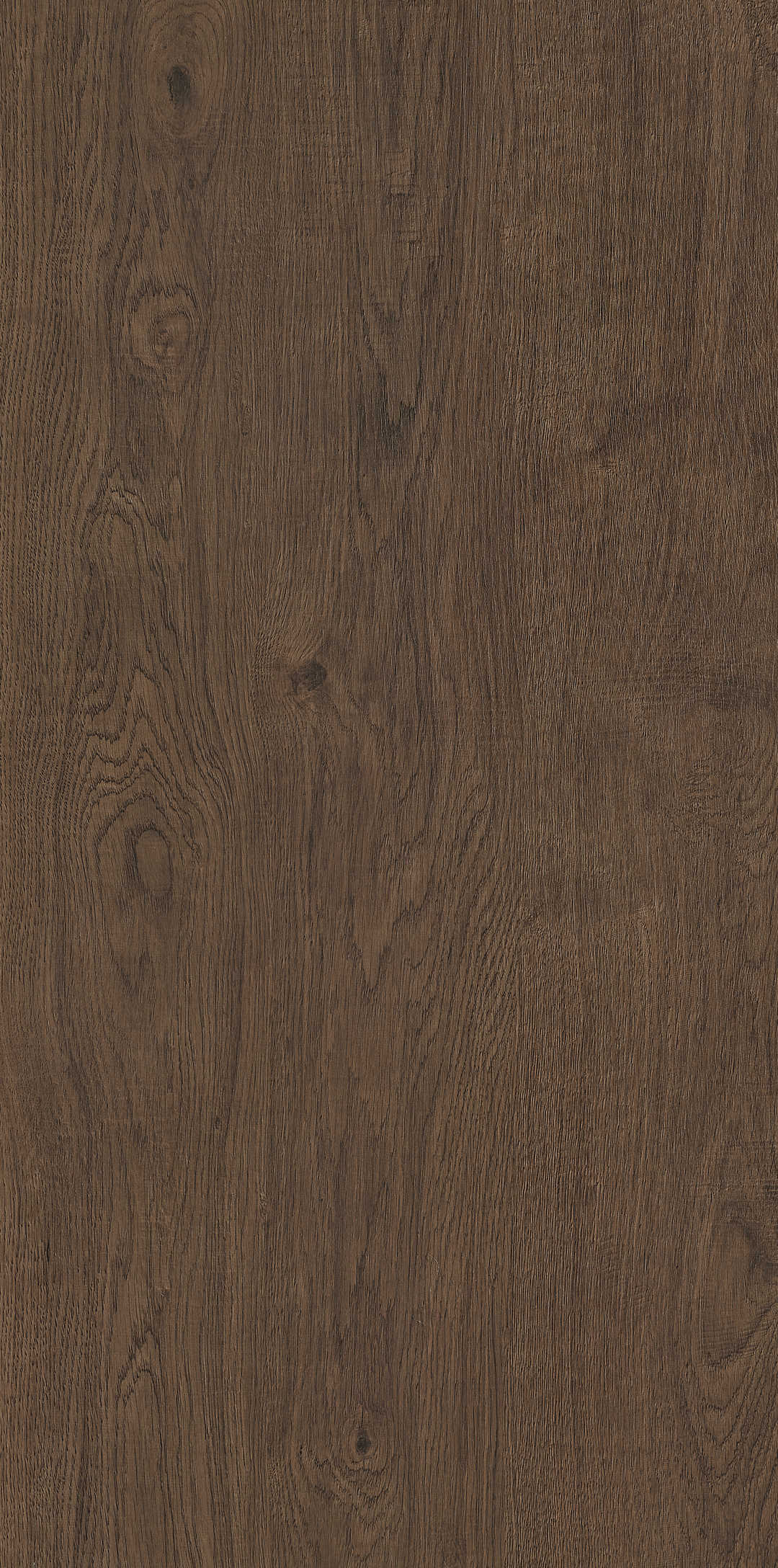 Fragrance · Matt Mould W1206333 · W1206333 Single tile image 5