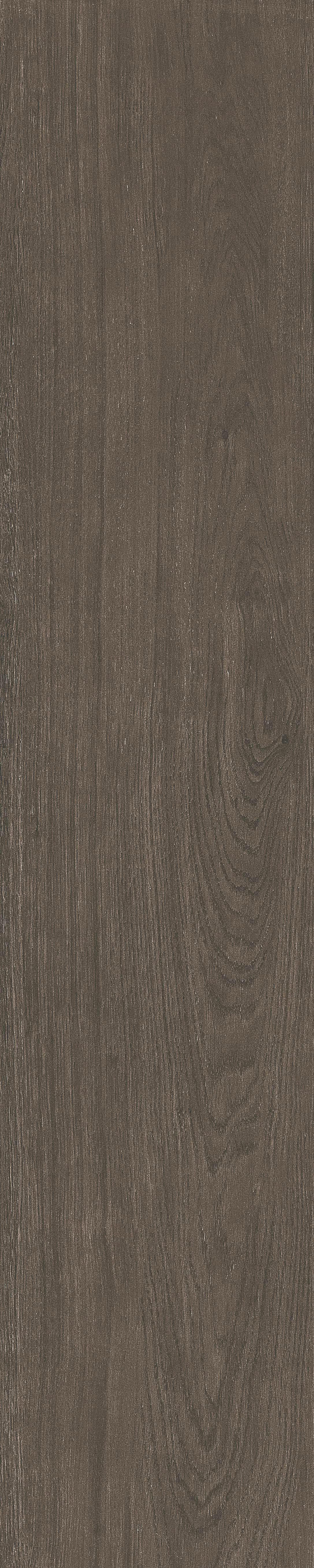 Peninsula · Matt Mould W1202071 · W1202071 single tile image 8