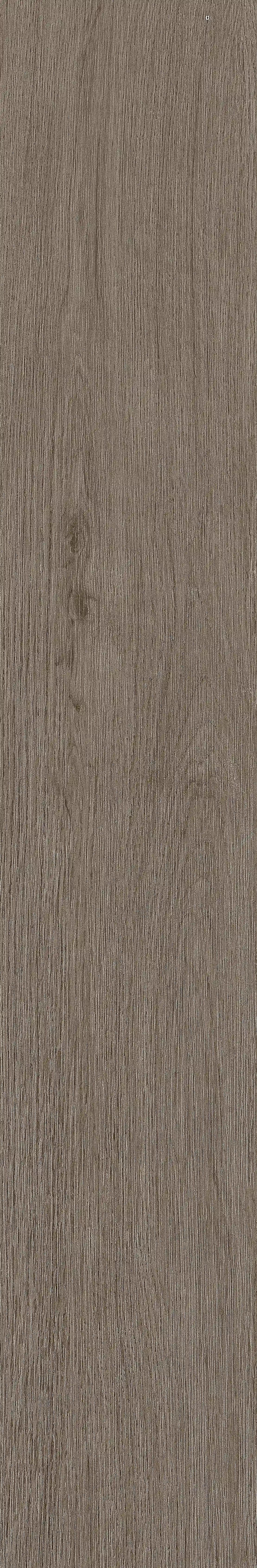 半岛MAX · 数码模具 W1202305 · W1202305 单片图 2