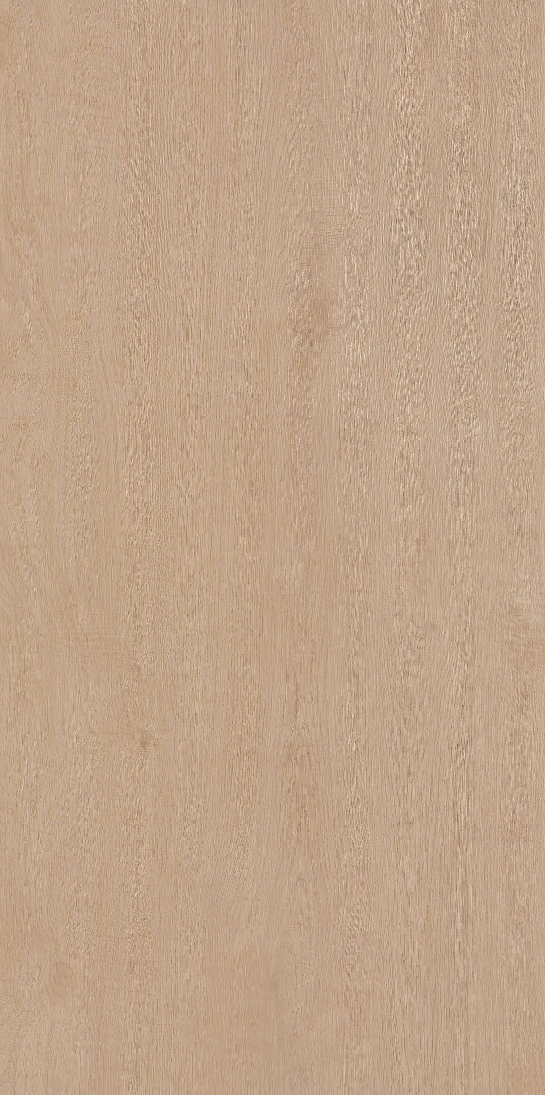 Fragrance · Matt Mould W1206330 · W1206330 single tile image 5