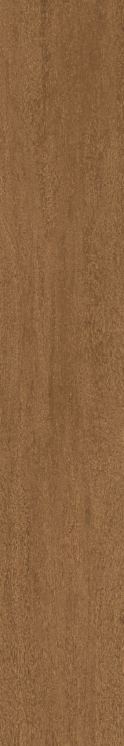 Cedar · Matt Mould W1202325 · W1202325 Single Tile Image 2
