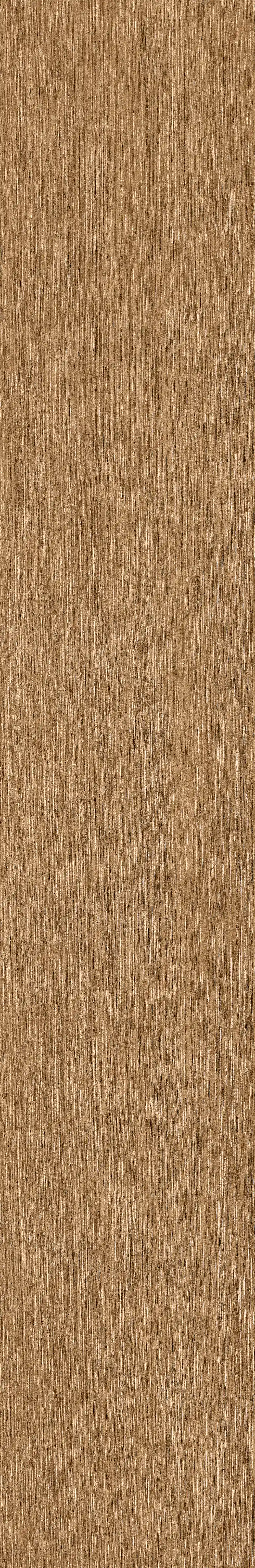 半岛MAX · 数码模具 W1202304 · W1202304 单片图 15