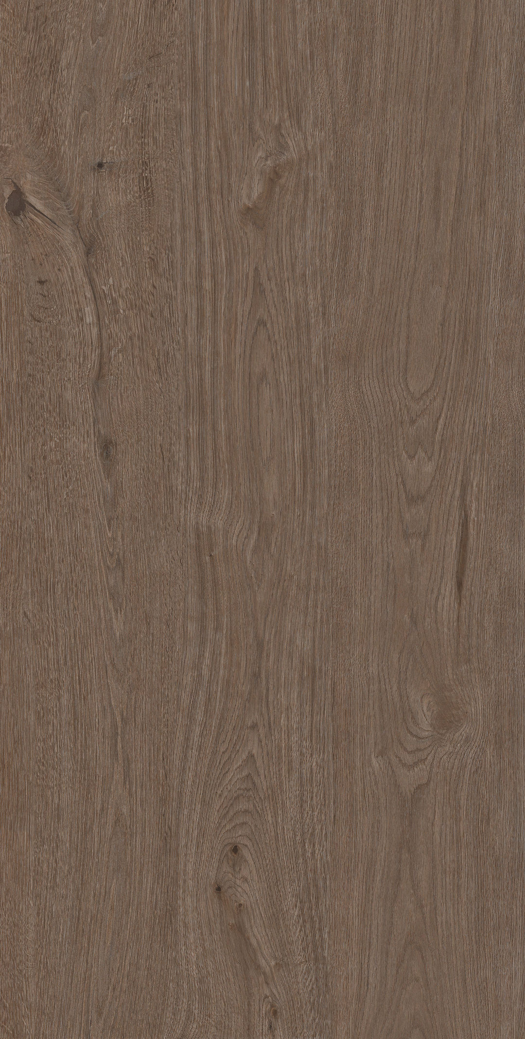 Arden Wood · Matt Mould W1507519 · W1507519 Single Tile Image 6