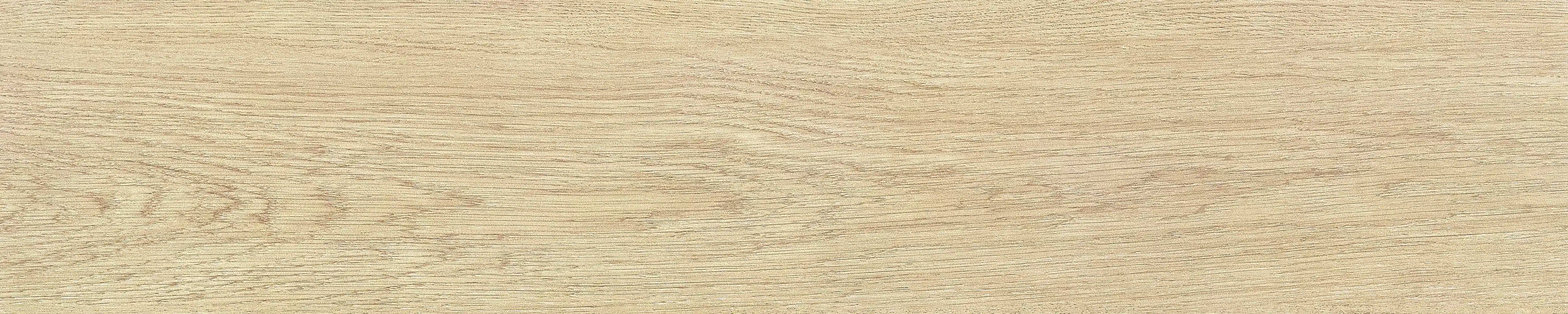 半岛 · 哑光模具 W1002033 · W1002033 单片图 11