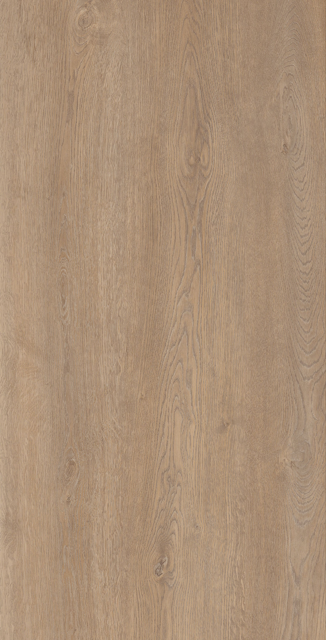 Yimu · Matt Mould W1206530 · W1206530 single tile image 2