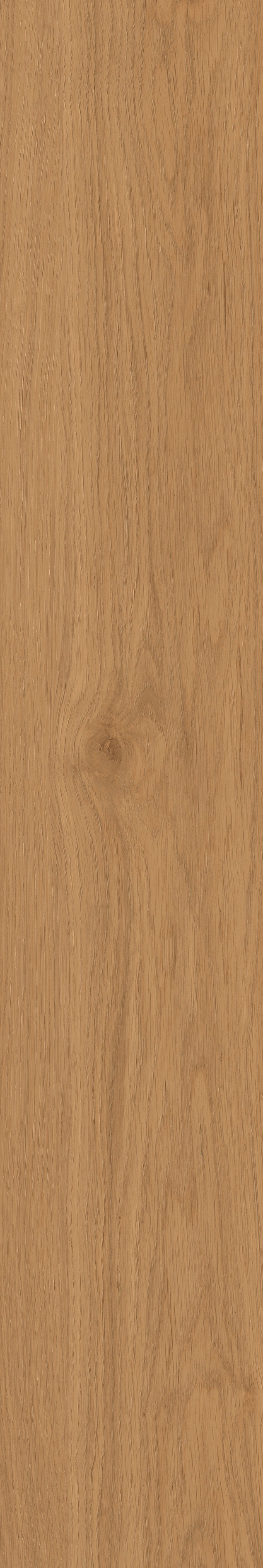 Yangmu · Digital Mould W1202342 · W1202342 Single tile image 21