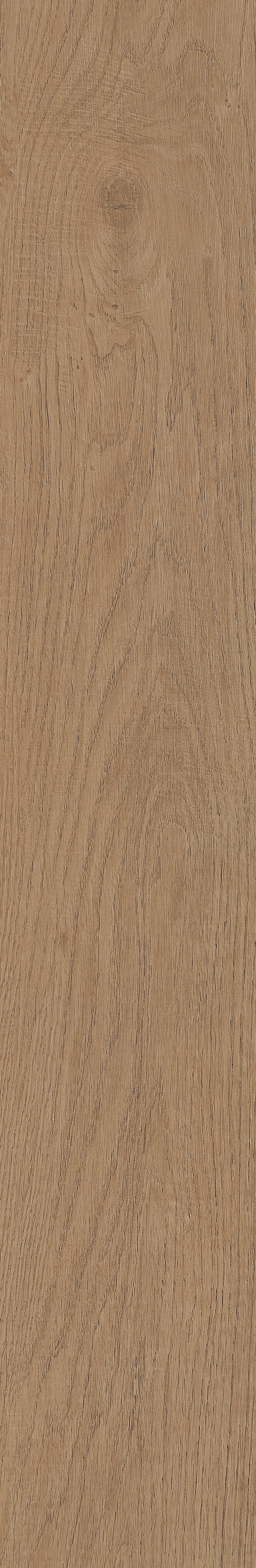 Fragrant · Matt Mould W1202331 · W1202331 single tile image 49