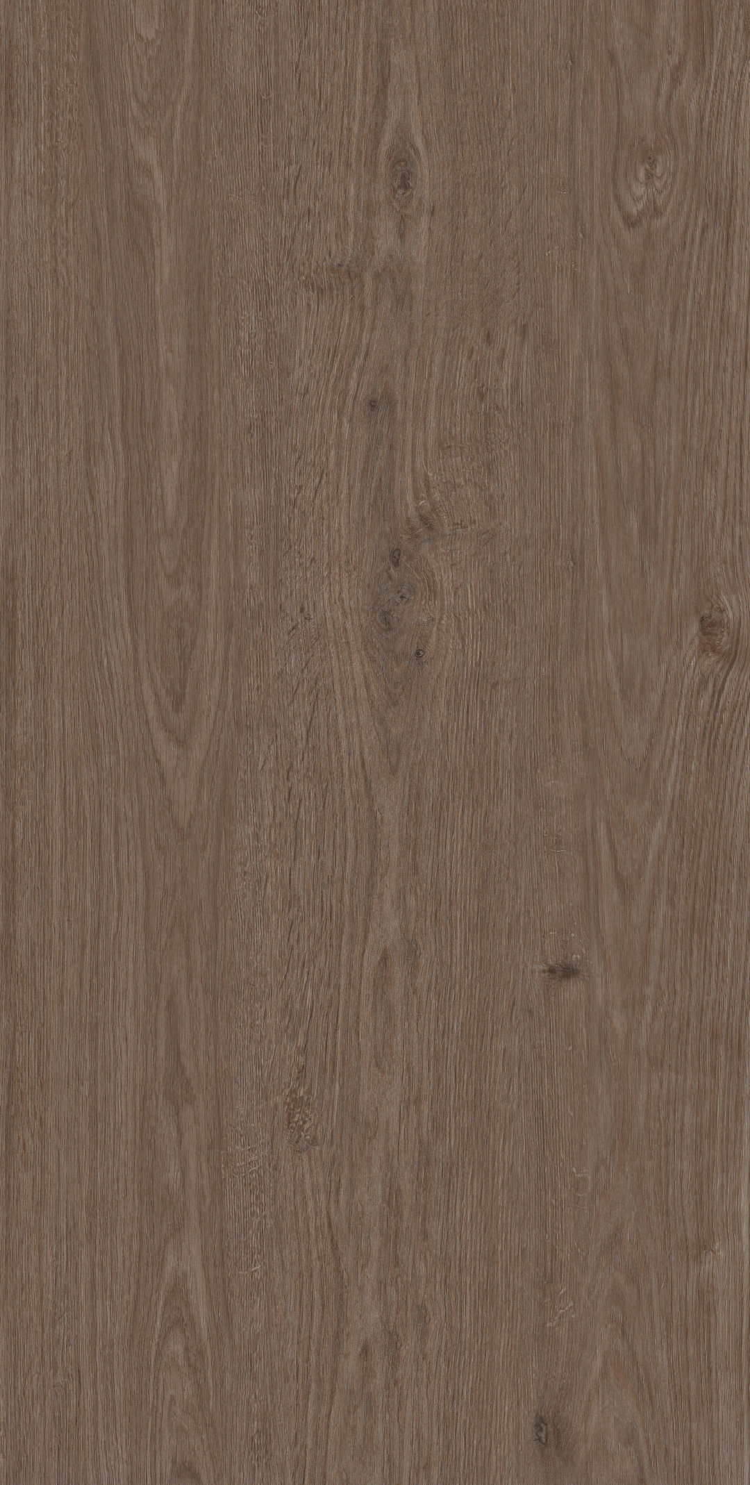 Arden Wood · Matt Mould W1507519 · W1507519 Single Tile Image 8