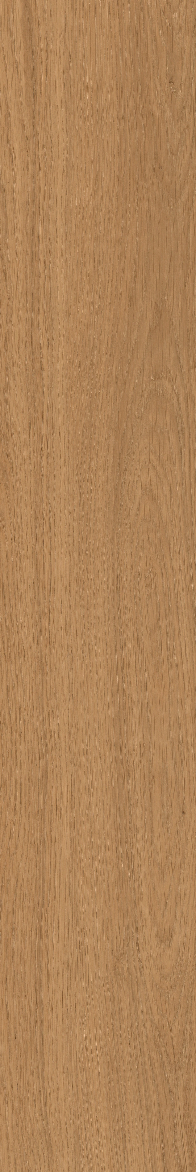 Yangmu · Digital Mould W1202342 · W1202342 Single tile image 27