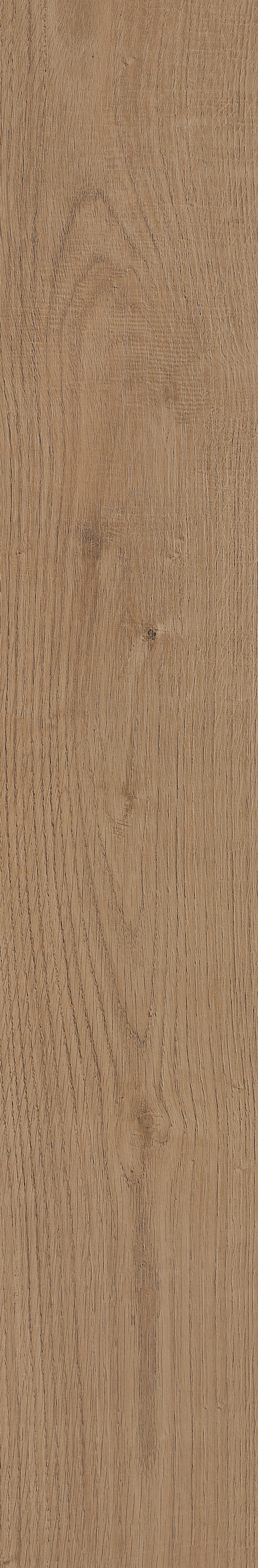 Fragrant · Matt Mould W1202331 · W1202331 Single Tile Image 14