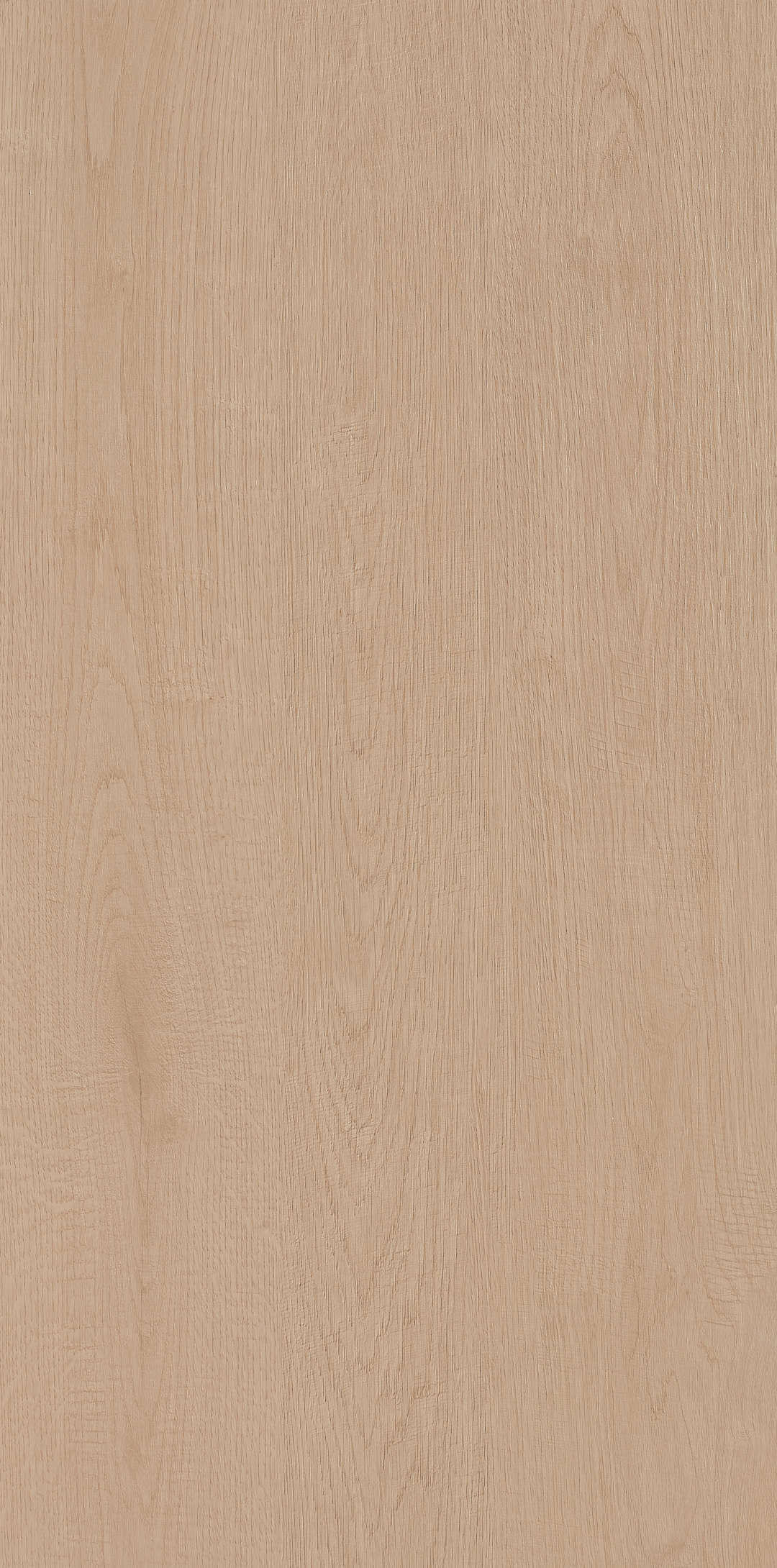 Fragrance · Matt Mould W1206330 · W1206330 single tile image 15