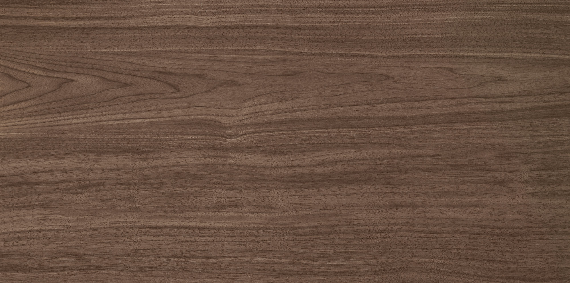 West Coast Walnut · Velvet R1206502 · R1206502 Single tile 4