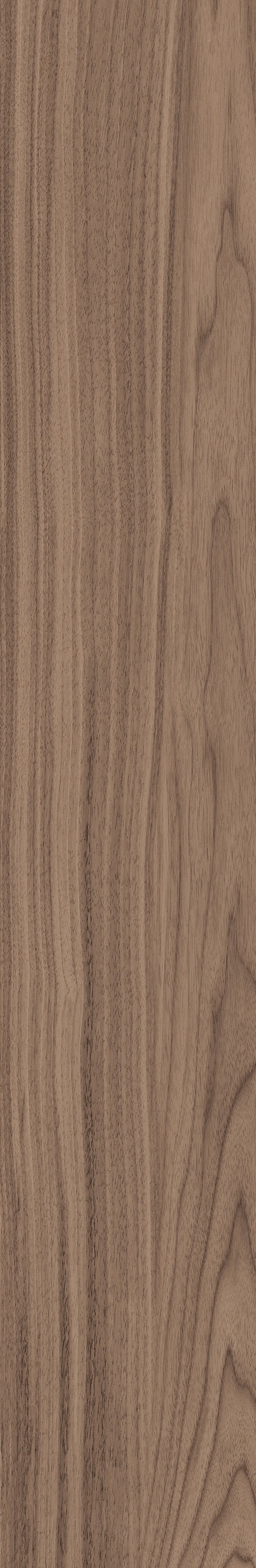 North American Walnut · Matt mould W1202075 · W1202075 single tile image 10