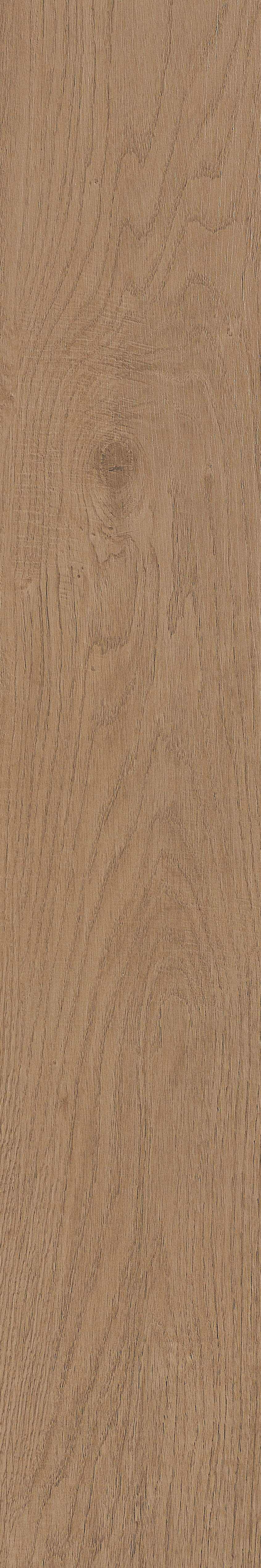 Fragrant · Matt Mould W1202331 · W1202331 Single Tile Image 22