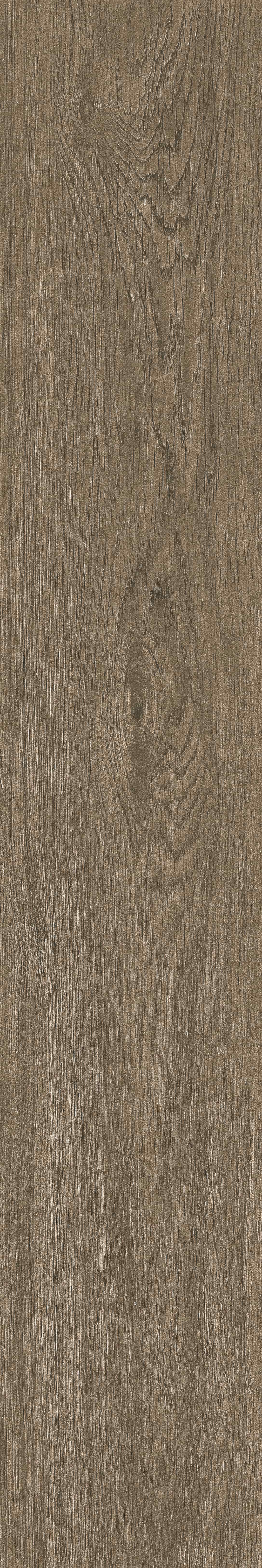 半岛 · 哑光模具 W1202070 · W1202070 单片图 18