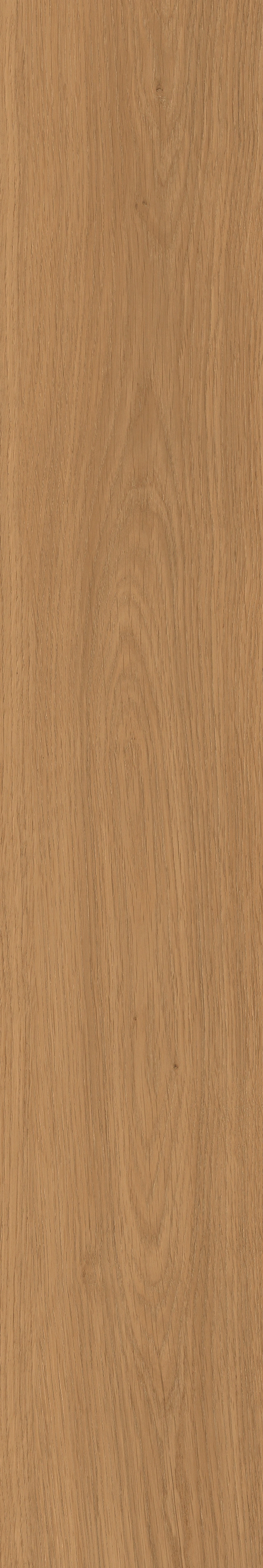 Yangmu · Digital Mould W1202342 · W1202342 Single tile image 8