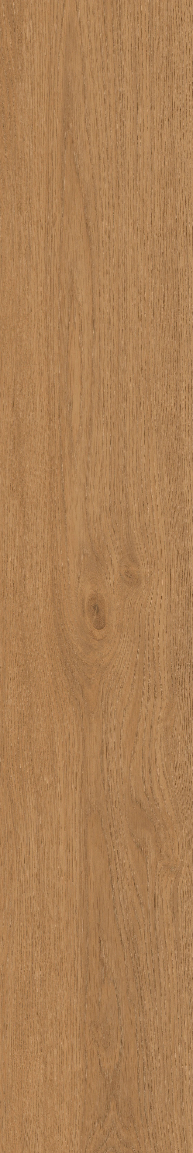 Yangmu · Digital Mould W1202342 · W1202342 Single tile image 6