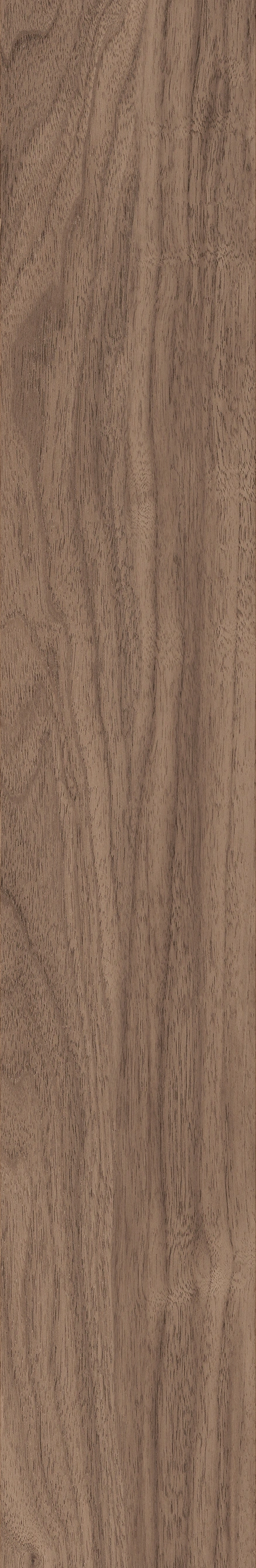 North American Walnut · Matt mould W1202075 · W1202075 single tile image 3