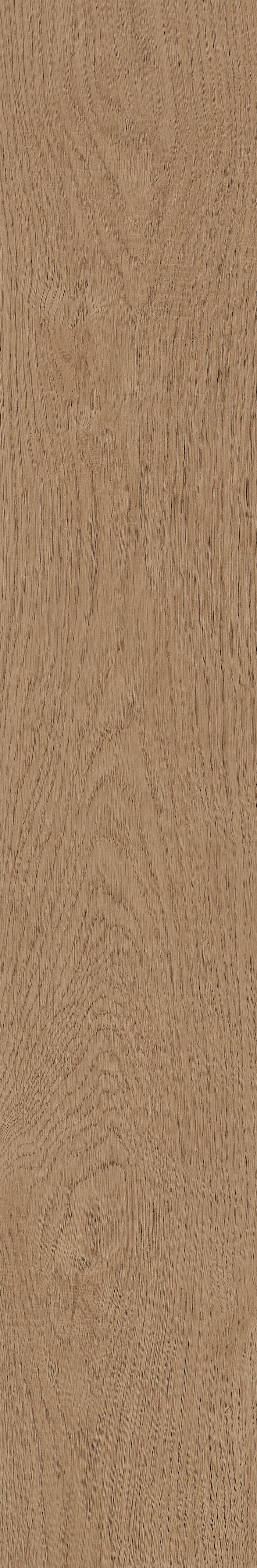 Fragrant · Matt Mould W1202331 · W1202331 Single Tile Image 15