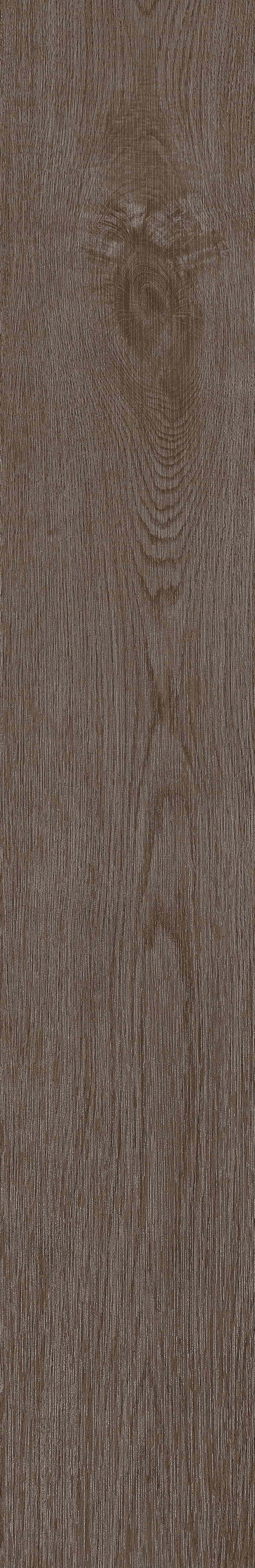 半岛MAX · 数码模具 W1202306 · W1202306 单片图 19