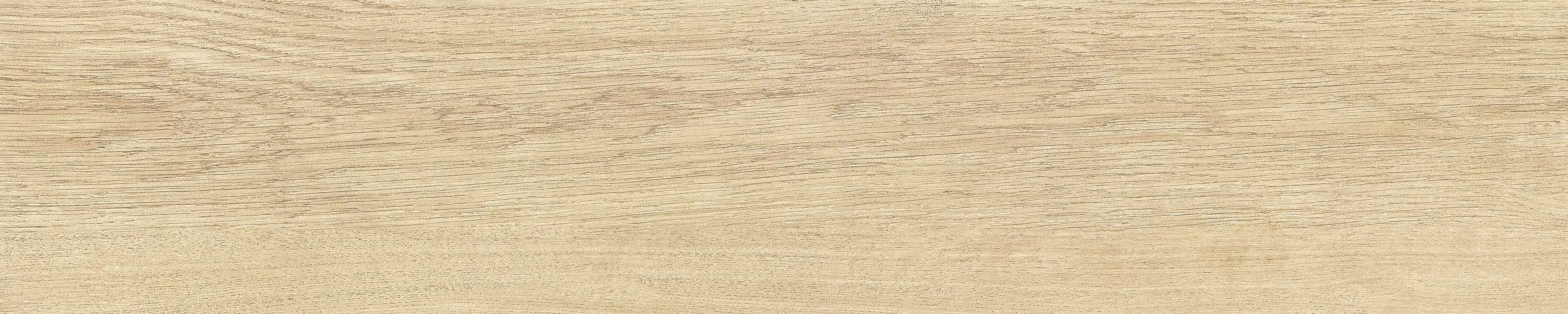 半岛 · 哑光模具 W1002033 · W1002033 单片图 2