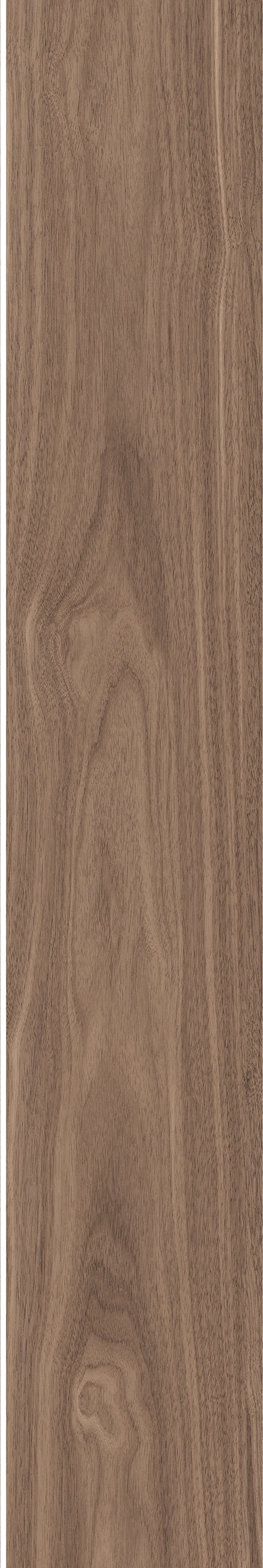 North American Walnut · Matt mould W1202075 · W1202075 single tile image 11