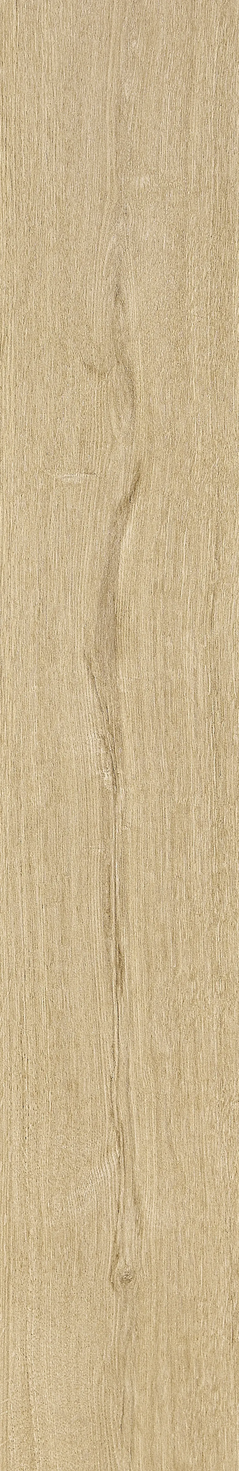 Qianmu · Digital Mould W1202368 · W1202368 Single Tile Image 12