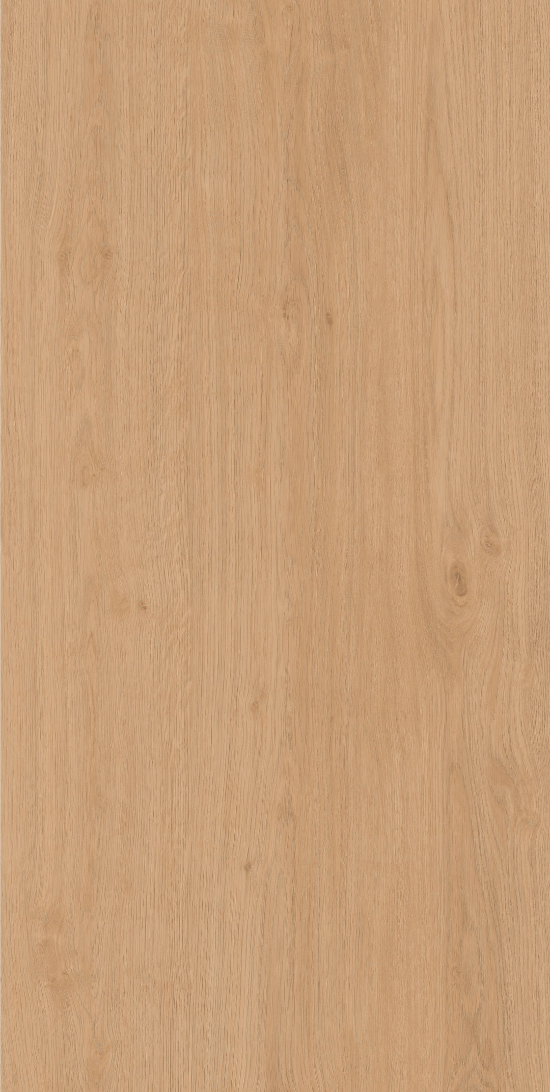 仰木 · 数码模具 W1206341 · W1206341 单片图 2
